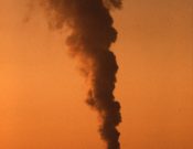Pic Gas generation